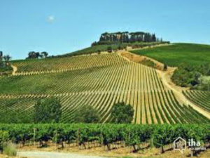 Chianti Grape Harvest Festival